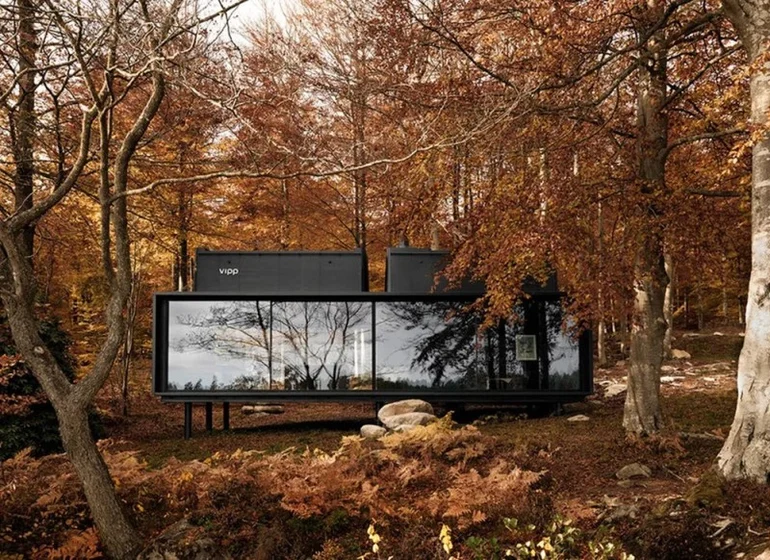 Taking the World by Storm 5